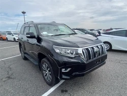 Toyota LAND CRUISER PRADO 2020 года TRJ150-0118128 ID: 545535 8