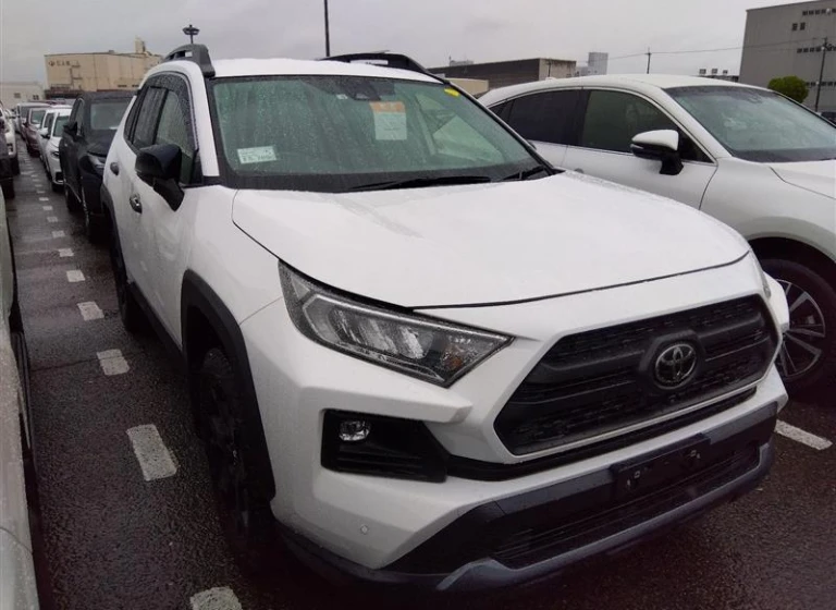 Toyota RAV4 2022 года MXAA54-5036321 ID: 542317