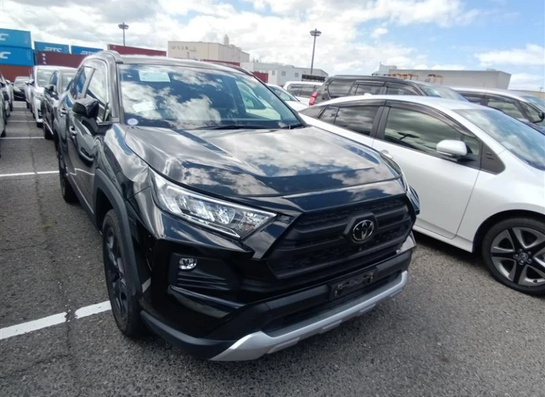 Toyota RAV4 2022 года MXAA54-5033861 ID: 545793