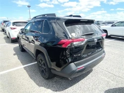 Toyota RAV4 2021 года MXAA54-5034542 ID: 548113 2
