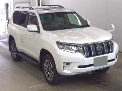 Toyota LAND CRUISER PRADO 2022 года TRJ150-0155950 ID: 551239 0