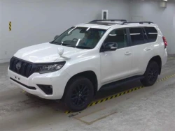 Toyota LAND CRUISER PRADO 2022 года TRJ150-0153344 ID: 542911 1