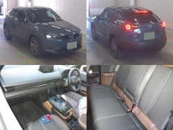Mazda MX-30, 2022 года DRH3P-100220 ID: 519092 3