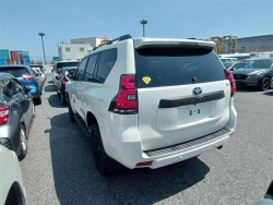 Toyota LAND CRUISER PRADO 2022 года TRJ150-0153344 ID: 542911 10
