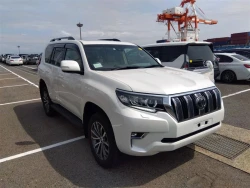 Toyota LAND CRUISER PRADO 2021 года TRJ150-0126845 ID: 538661 15