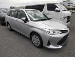 Toyota COROLLA FIELDER 2019 года NKE165-7221607 ID: 486597 0