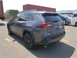 Toyota RAV4 2021 года MXAA54-5022969 ID: 545244 4