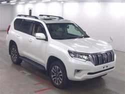 Toyota LAND CRUISER PRADO 2022 года TRJ150-0143921 ID: 544198 0