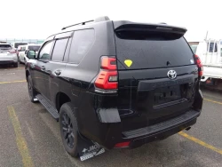 Toyota LAND CRUISER PRADO 2022 года TRJ150-0151124 ID: 544768 13