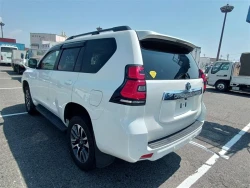 Toyota LAND CRUISER PRADO 2022 года TRJ150-0141925 ID: 544163 9