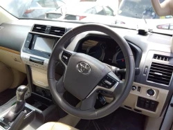 Toyota LAND CRUISER PRADO 2022 года TRJ150-0153831 ID: 541876 14