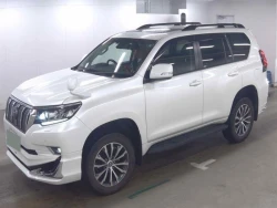 Toyota LAND CRUISER PRADO 2021 года TRJ150-0128621 ID: 542601 1