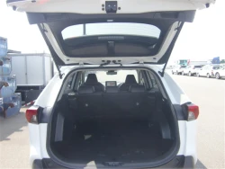 Toyota RAV4 2022 года MXAA54-2034251 ID: 548391 9