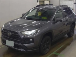 Toyota RAV4 2021 года MXAA54-5022969 ID: 545244 13