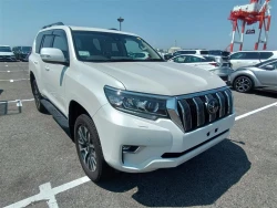 Toyota LAND CRUISER PRADO 2022 года TRJ150-0141925 ID: 544163 8