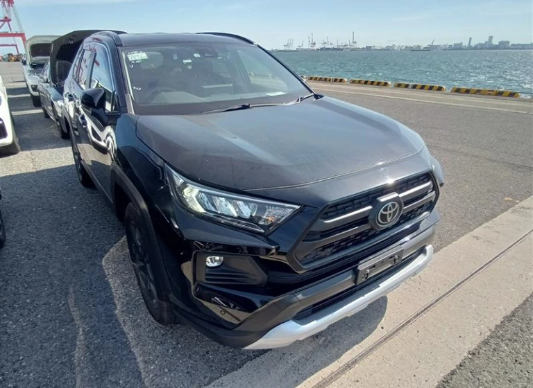 Toyota RAV4 2022 года MXAA54-2035500 ID: 551272
