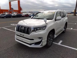Toyota LAND CRUISER PRADO 2022 года TRJ150-0145101 ID: 540782 10