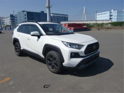 Toyota RAV4 2021 года MXAA54-5028527 ID: 545234 2
