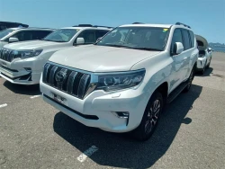 Toyota LAND CRUISER PRADO 2022 года TRJ150-0153986 ID: 549732 8
