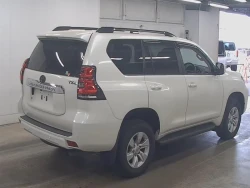 Toyota LAND CRUISER PRADO 2022 года TRJ150-0145407 ID: 538621 4