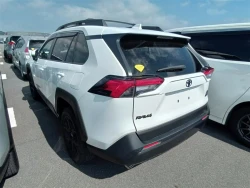 Toyota RAV4 2022 года MXAA54-5029369 ID: 547062 1