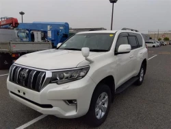 Toyota LAND CRUISER PRADO 2022 года TRJ150-0145407 ID: 538621 10