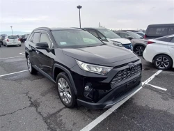 Toyota RAV4 2021 года MXAA54-4025374 ID: 544542 2