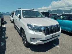 Toyota LAND CRUISER PRADO 2022 года TRJ150-0153986 ID: 549732 9