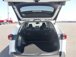 Toyota RAV4 2021 года MXAA54-5028527 ID: 545234 12