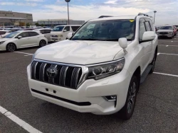 Toyota LAND CRUISER PRADO 2022 года TRJ150-0143921 ID: 544198 9