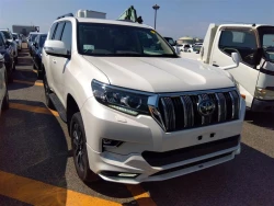 Toyota LAND CRUISER PRADO 2021 года TRJ150-0130058 ID: 541048 9