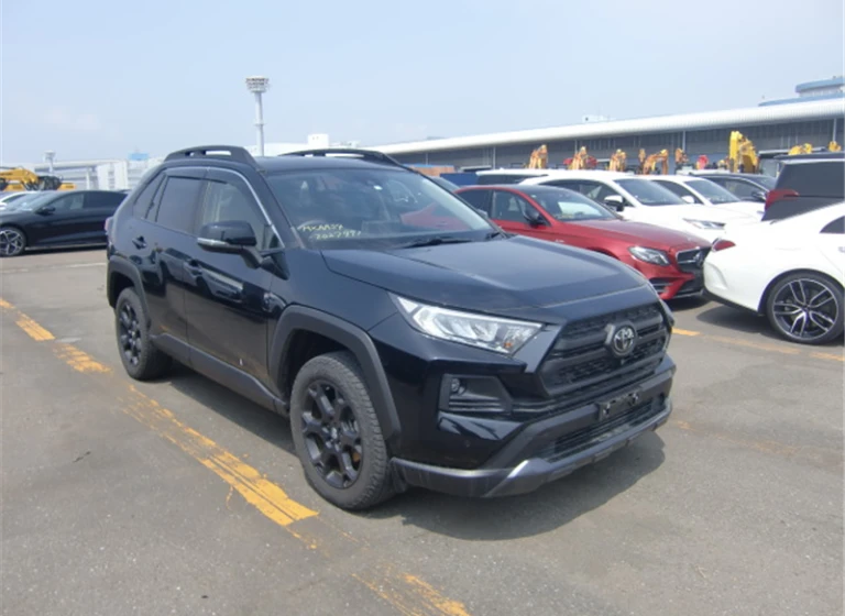 Toyota RAV4 2021 года MXAA54-2027991 ID: 549759