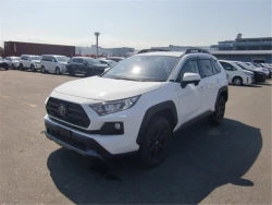 Toyota RAV4 2021 года MXAA54-5028527 ID: 545234 0