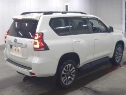 Toyota LAND CRUISER PRADO 2022 года TRJ150-0141925 ID: 544163 4