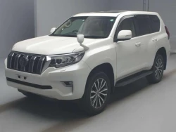 Toyota LAND CRUISER PRADO 2018 года TRJ150-0082347 ID: 518912 0