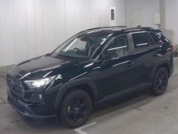 Toyota RAV4 2021 года  MXAA54-2028830 ID: 547108 13