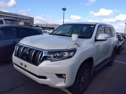 Toyota LAND CRUISER PRADO 2018 года TRJ150-0082347 ID: 518912 14