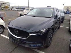 Mazda CX5, 2018 года KFEP-204615 ID: 519900 15