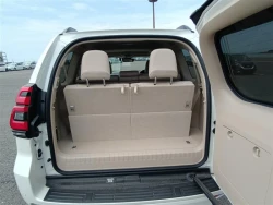Toyota LAND CRUISER PRADO 2022 года TRJ150-0153933 ID: 548661 14