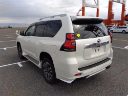 Toyota LAND CRUISER PRADO 2022 года TRJ150-0145101 ID: 540782 12