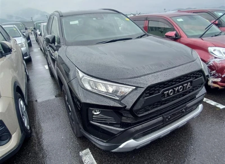 Toyota RAV4 2022 года MXAA54-5035998 ID: 546215