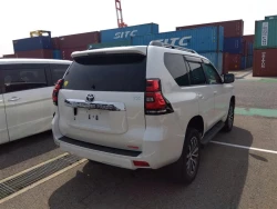 Toyota LAND CRUISER PRADO 2021 года TRJ150-0126845 ID: 538661 18