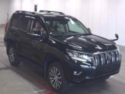Toyota LAND CRUISER PRADO 2020 года TRJ150-0118128 ID: 545535 1