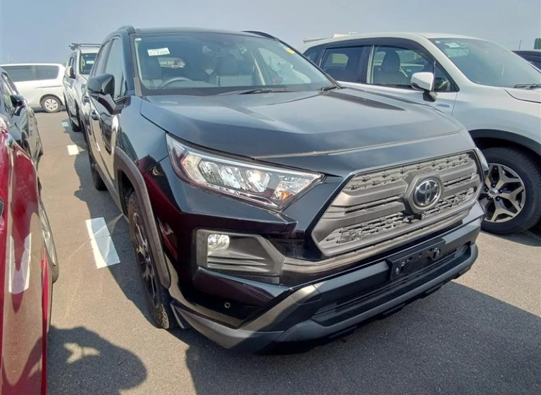 Toyota RAV4 2021 года  MXAA54-2028830 ID: 547108