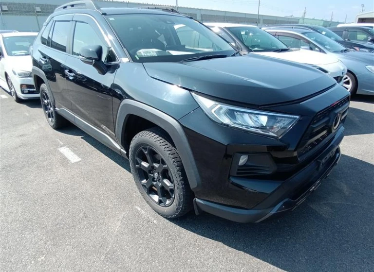 Toyota RAV4 2021 года MXAA54-5021481 ID: 545789