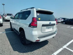 Toyota LAND CRUISER PRADO 2022 года TRJ150-0151883 ID: 541331 10