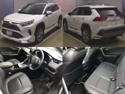 Toyota RAV4 2022 года  MXAA54-5029812 ID: 548672 2