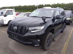 Toyota LAND CRUISER PRADO 2022 года TRJ150-0151124 ID: 544768 11