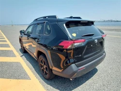 Toyota RAV4 2022 года MXAA54-5037025 ID: 545544 2