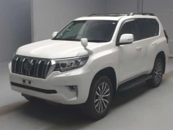 Toyota LAND CRUISER PRADO 2020 года TRJ150-0115623 ID: 540758 0